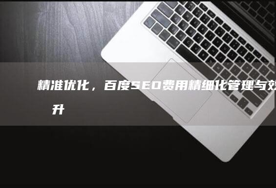 精准优化，百度SEO费用精细化管理与效果提升策略